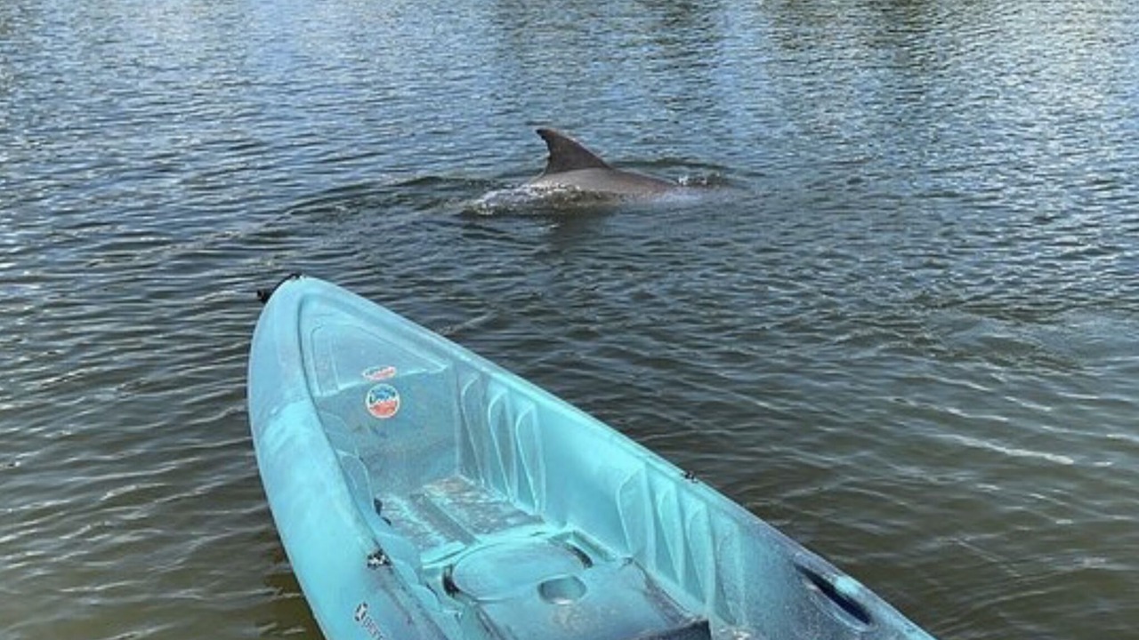 Photo of Outdoor in Cocoa Isles Country Club