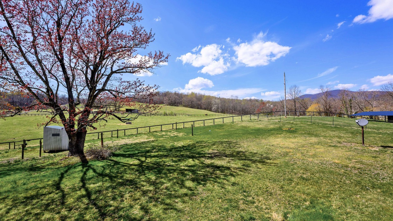 Photo of Outdoor in Washington