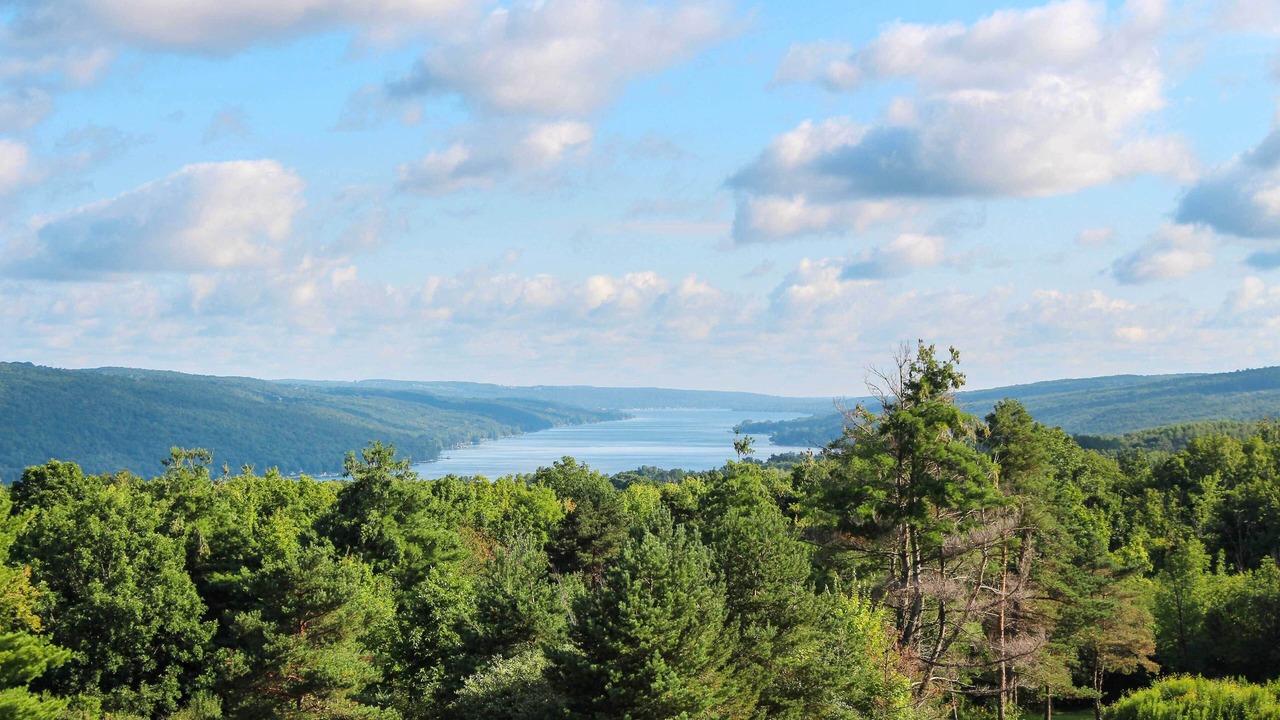 Photo of Outdoor in Hammondsport