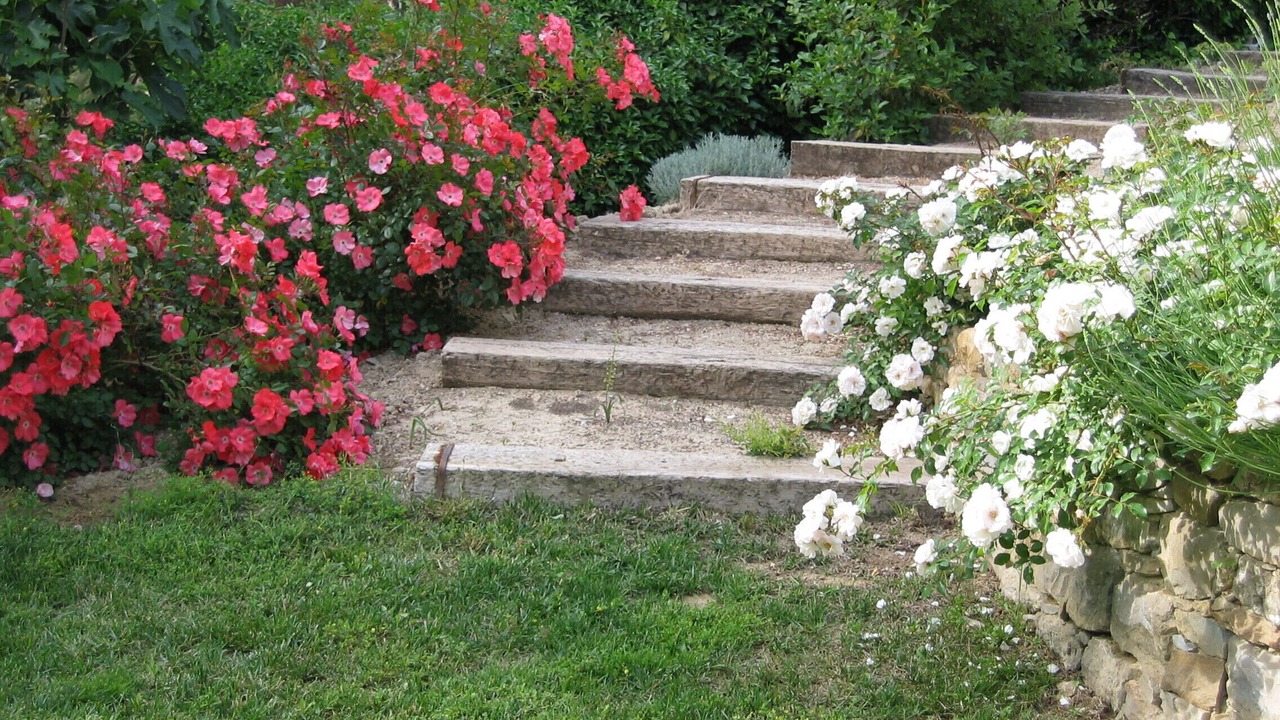 Photo of Outdoor in Le Castellet