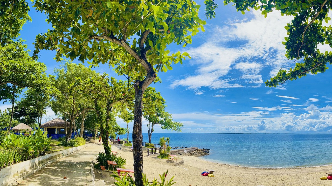 Photo of Others in Lapu-Lapu