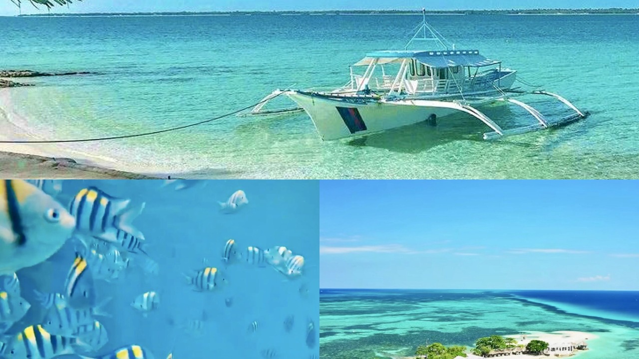 Photo of Others in Lapu-Lapu