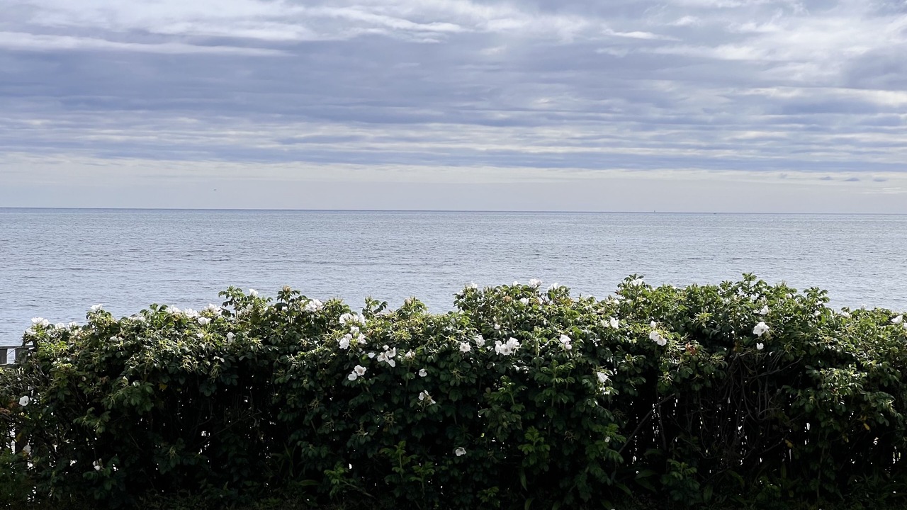 Photo of Outdoor in Brant Rock