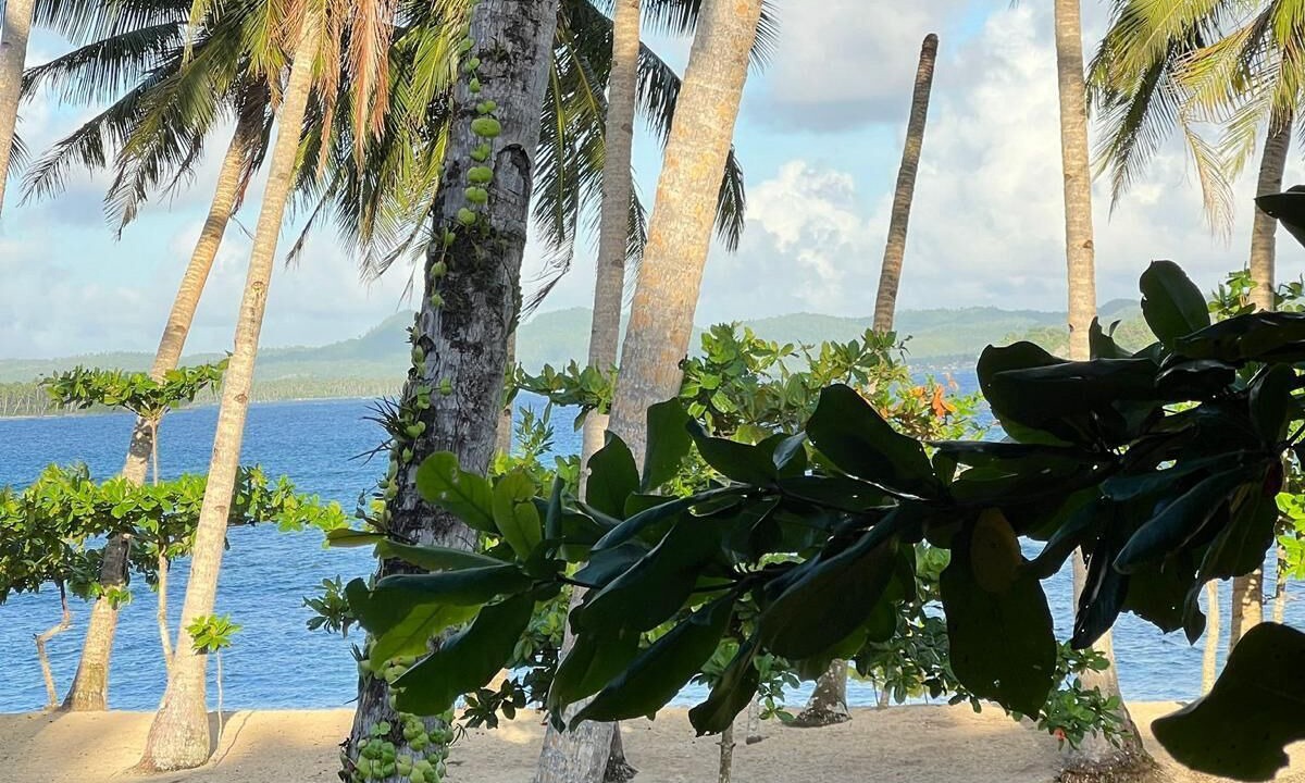 Photo of Outdoor in Catangnan
