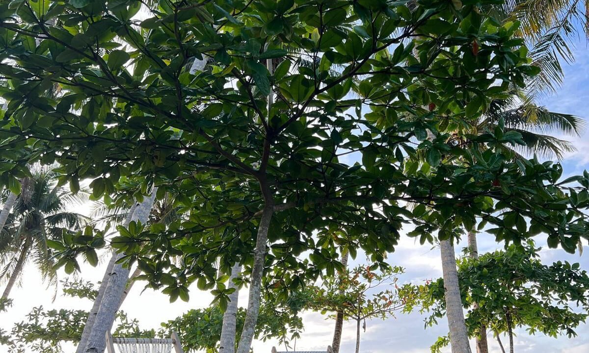 Photo of Outdoor in Catangnan