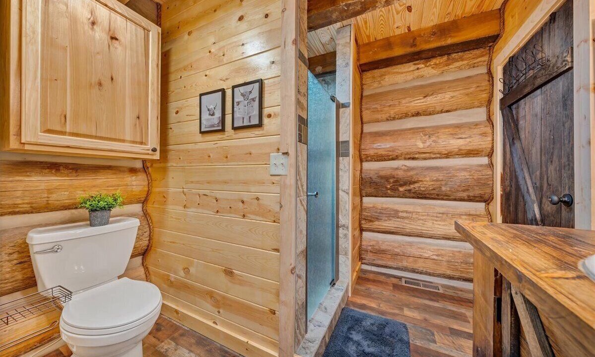 Photo of Bathroom in Troutville