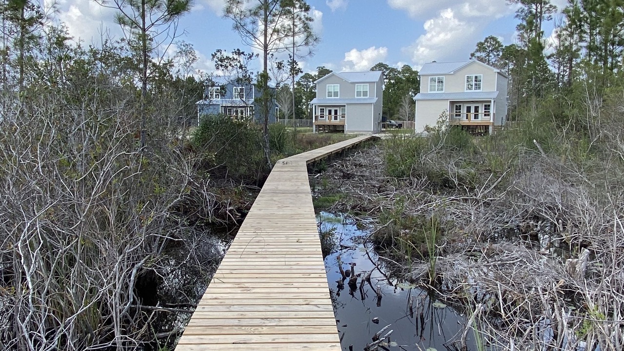 Photo of Outdoor in Carrabelle