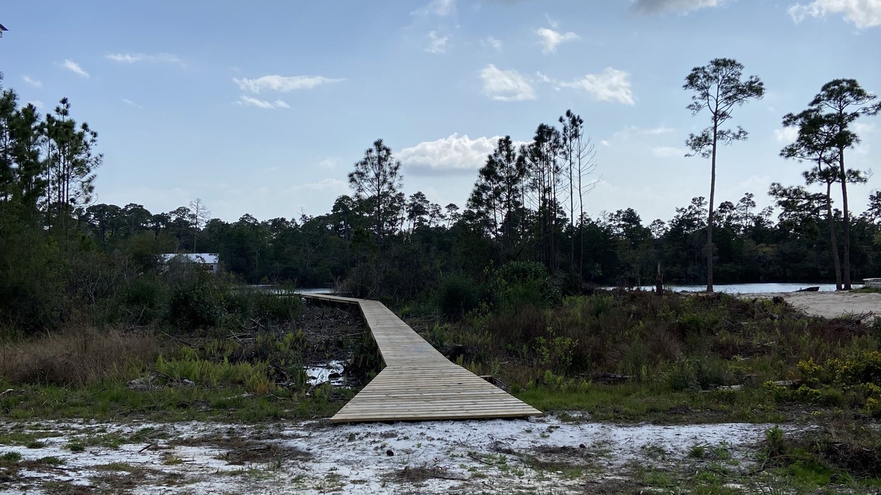 Photo of Outdoor in Carrabelle