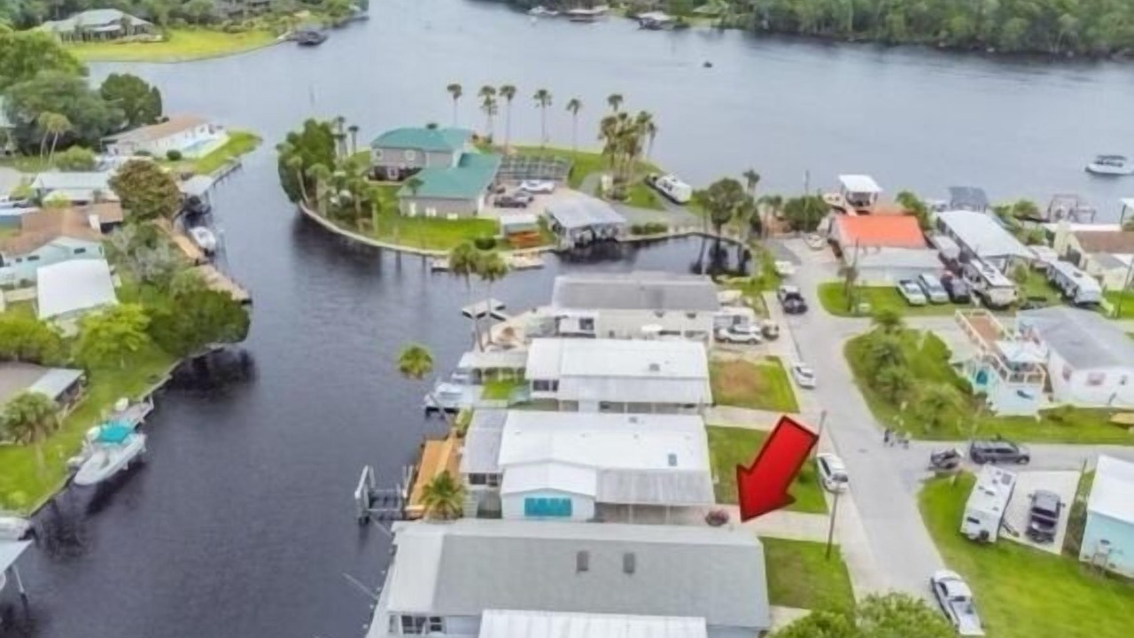 Photo of Others in Homosassa