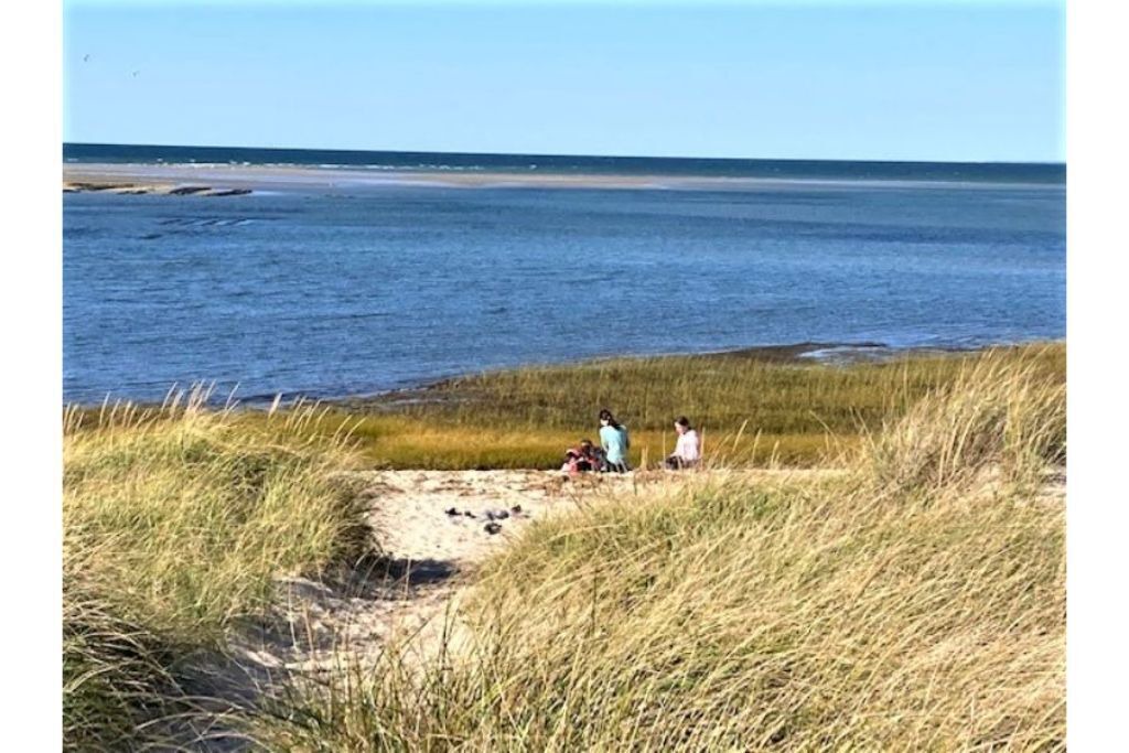 Photo of Others in East Dennis