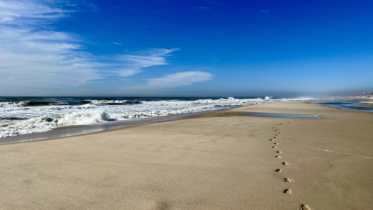 Photo of Others in Quogue