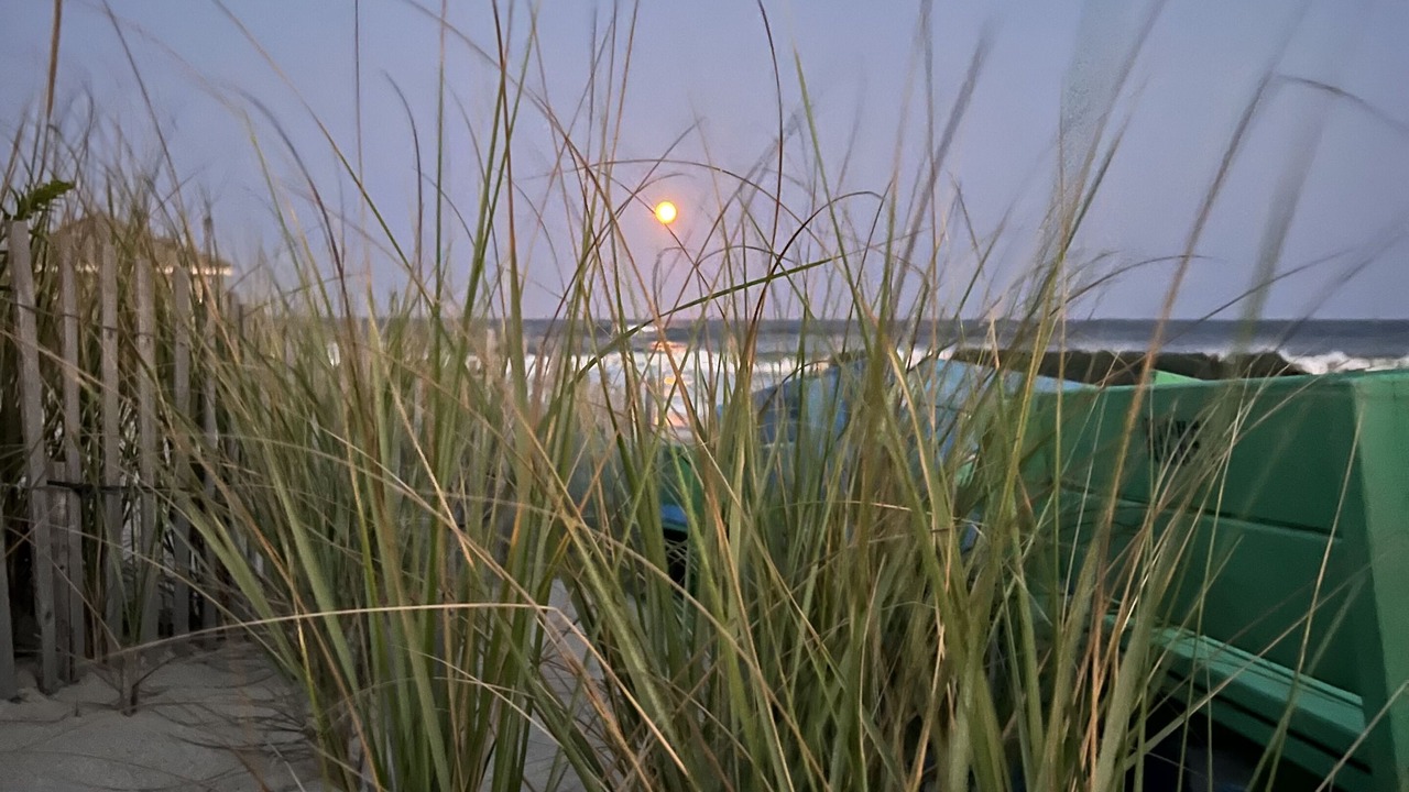 Photo of Others in Quogue