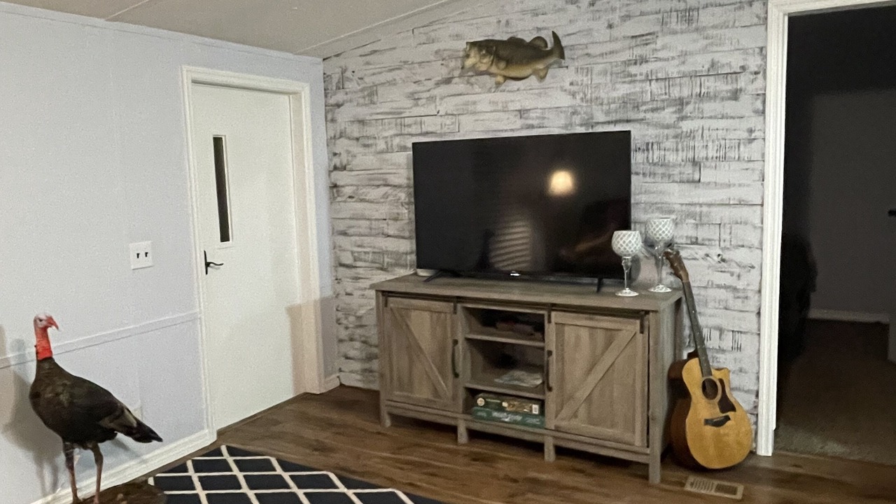 Photo of Livingroom in River Ranch