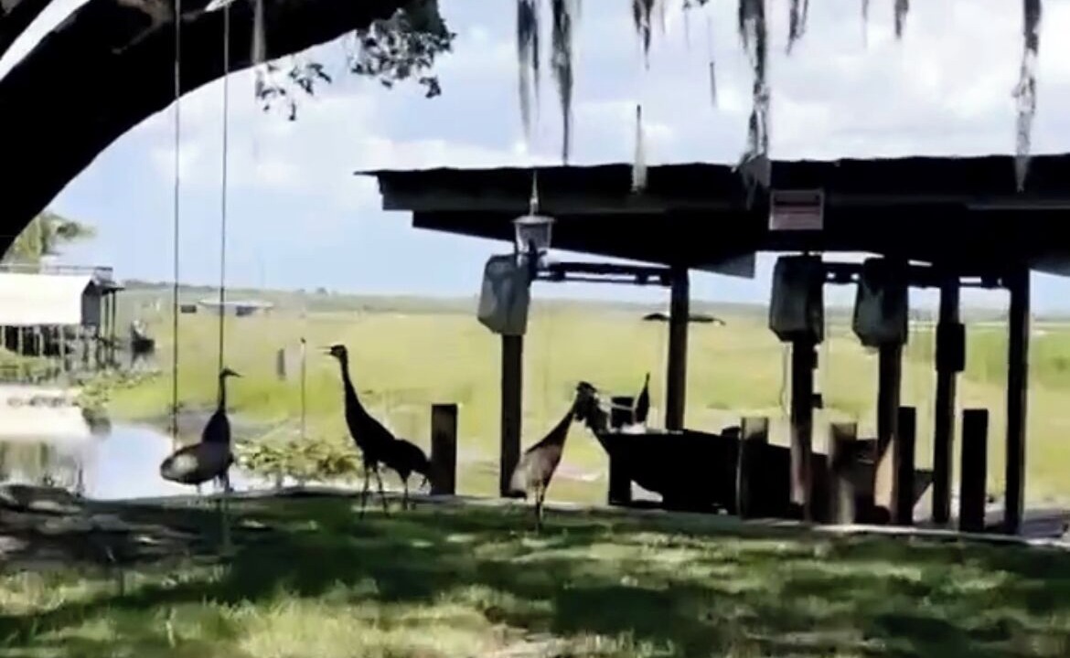 Photo of Others in River Ranch