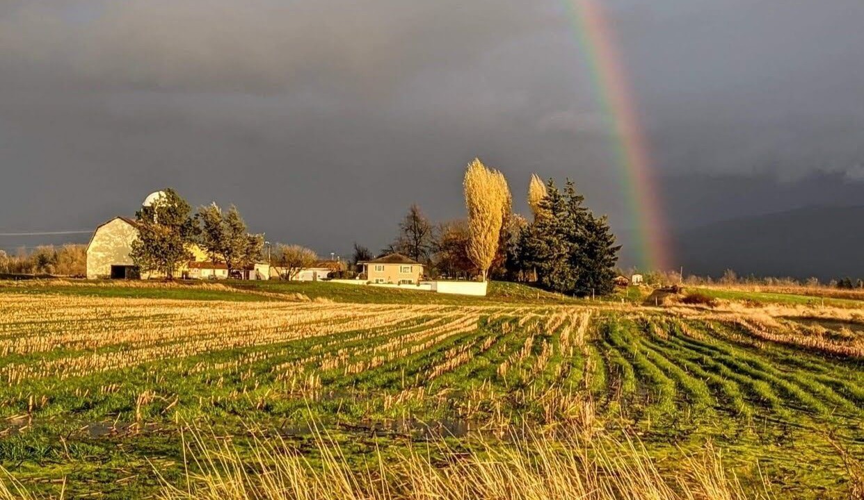 Photo of Others in Lynden
