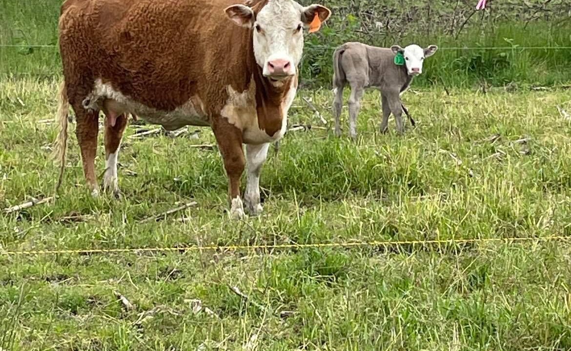 Photo of Others in Lynden