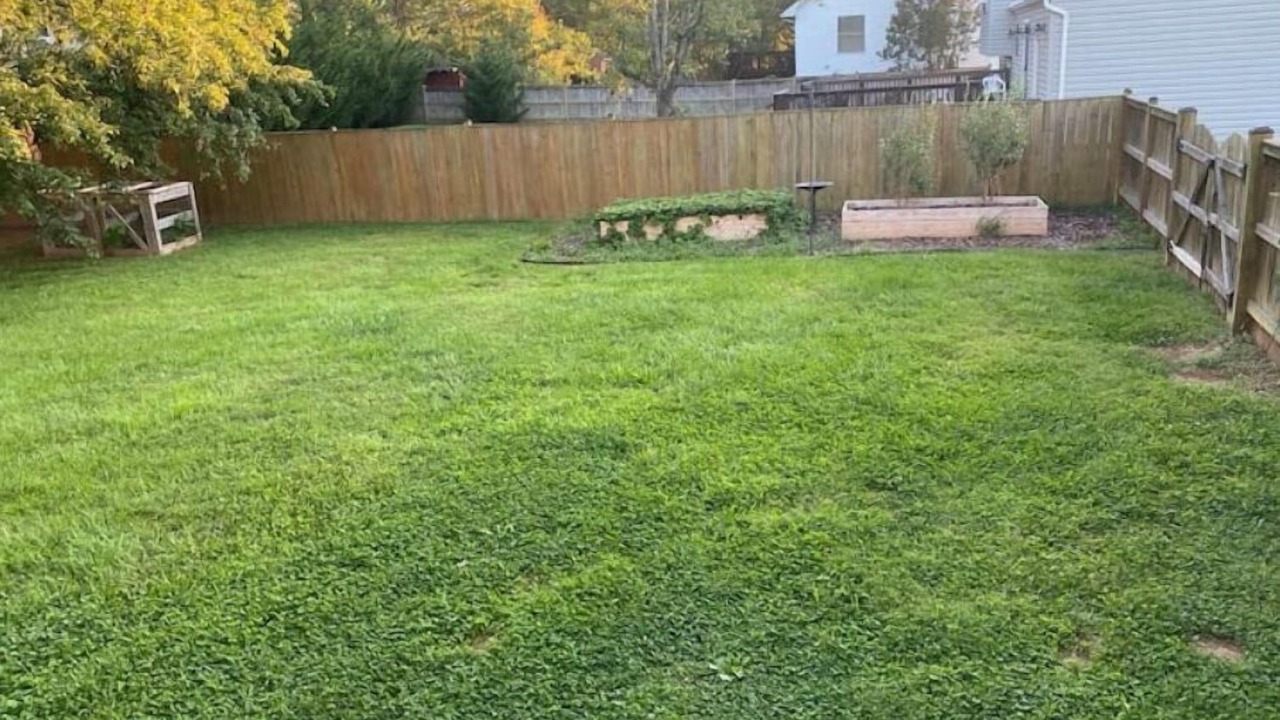 Photo of Outdoor in Herndon