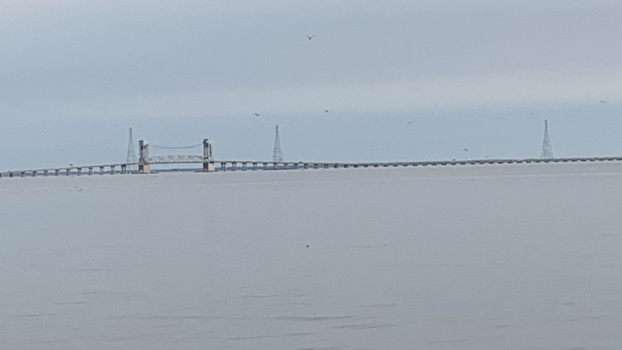 Photo of Others in Lackey