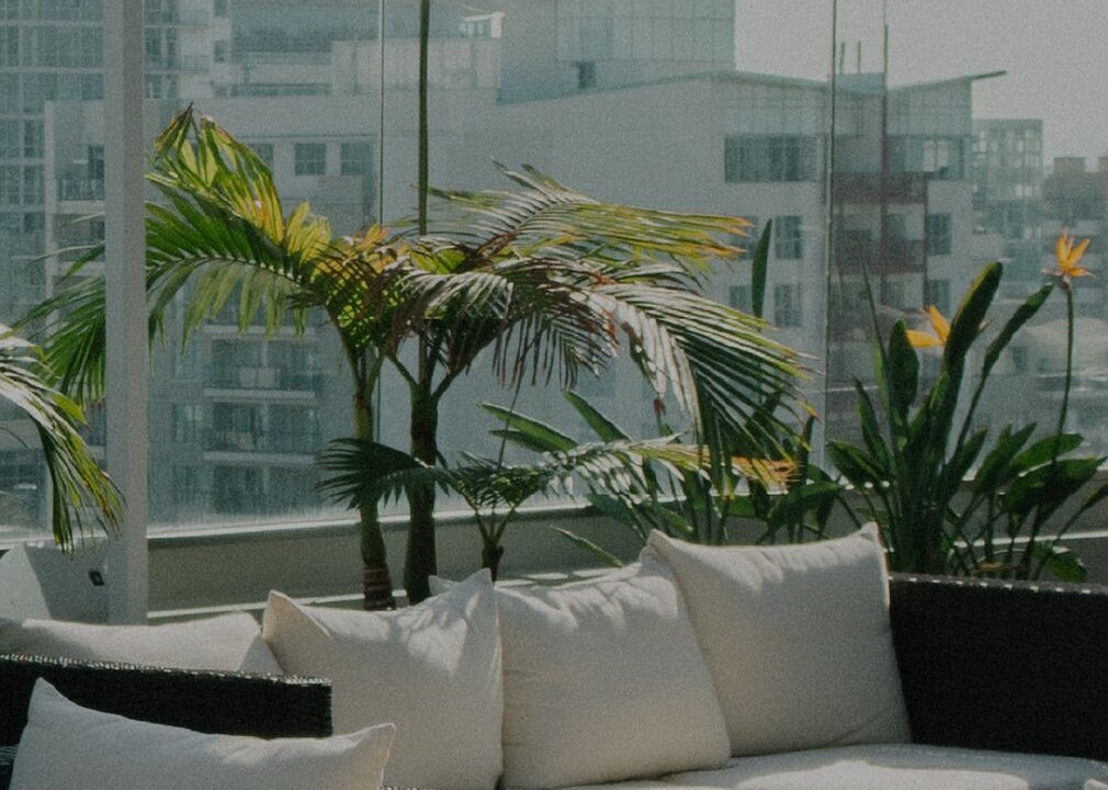 Photo of Outdoor in Chinatown