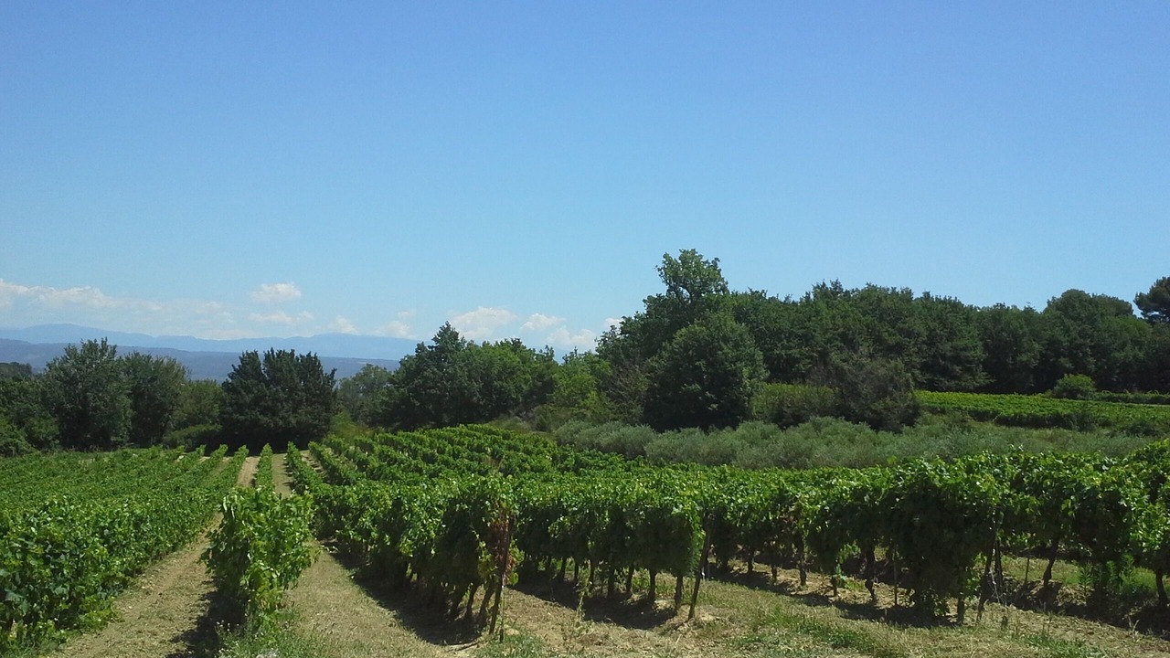 Photo of Others in Pierrevert