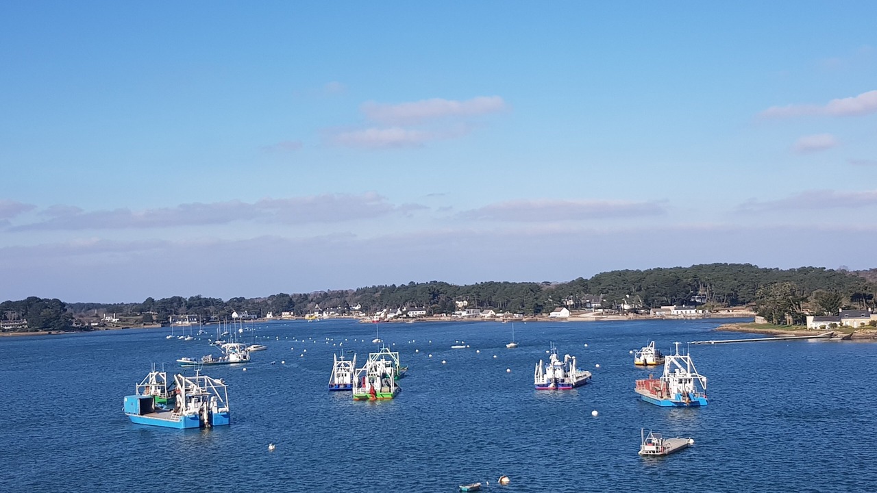 Photo of Others in Auray