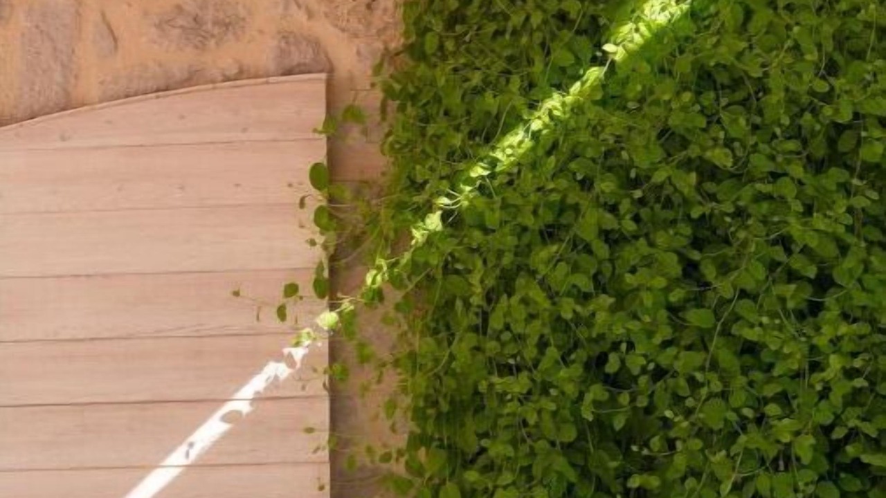 Photo of Outdoor in Pitve
