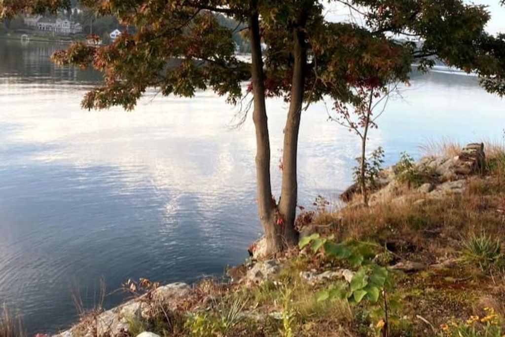 Photo of Outdoor in Glasser