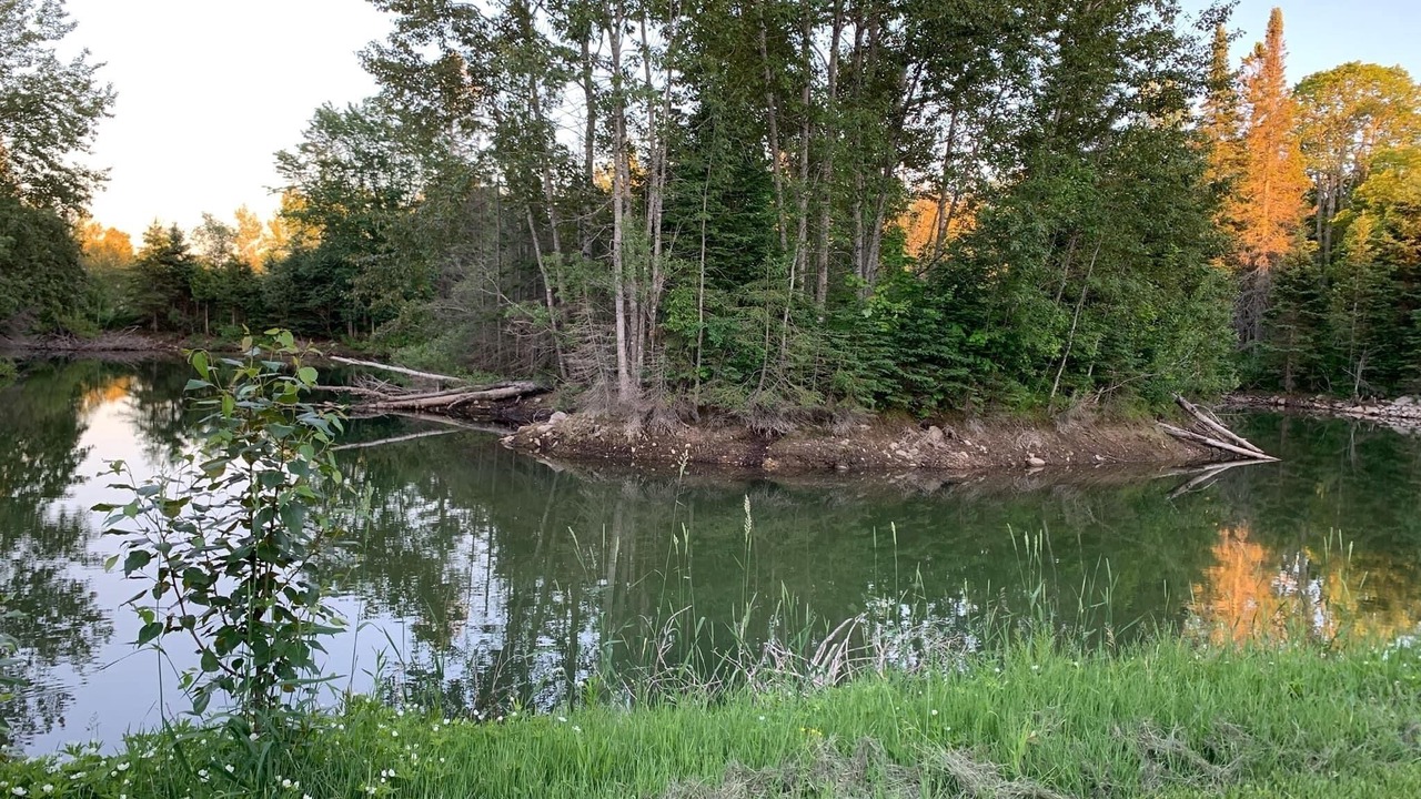 Photo of Others in Shingleton