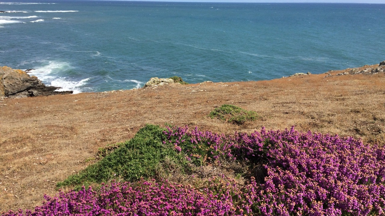 Photo of Others in Groix