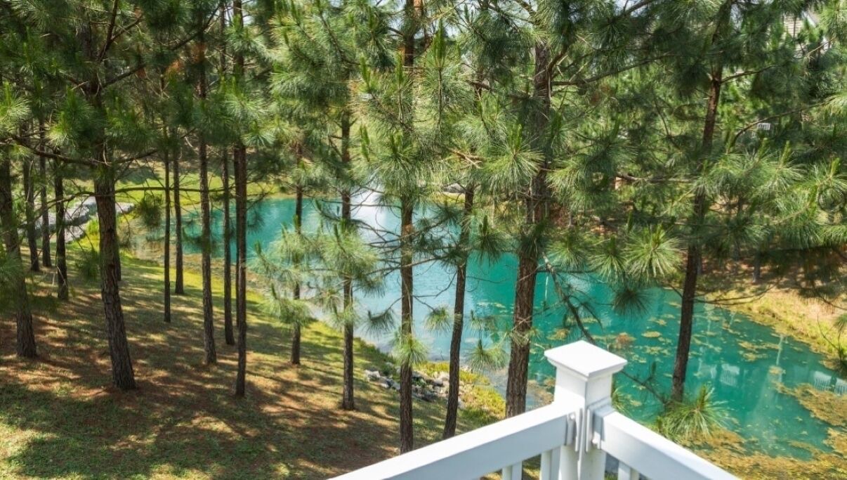 Photo of Outdoor in Lackey
