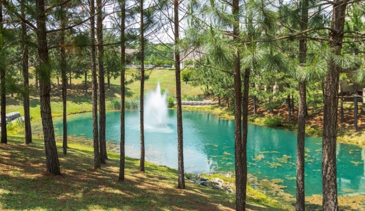 Photo of Outdoor in Lackey