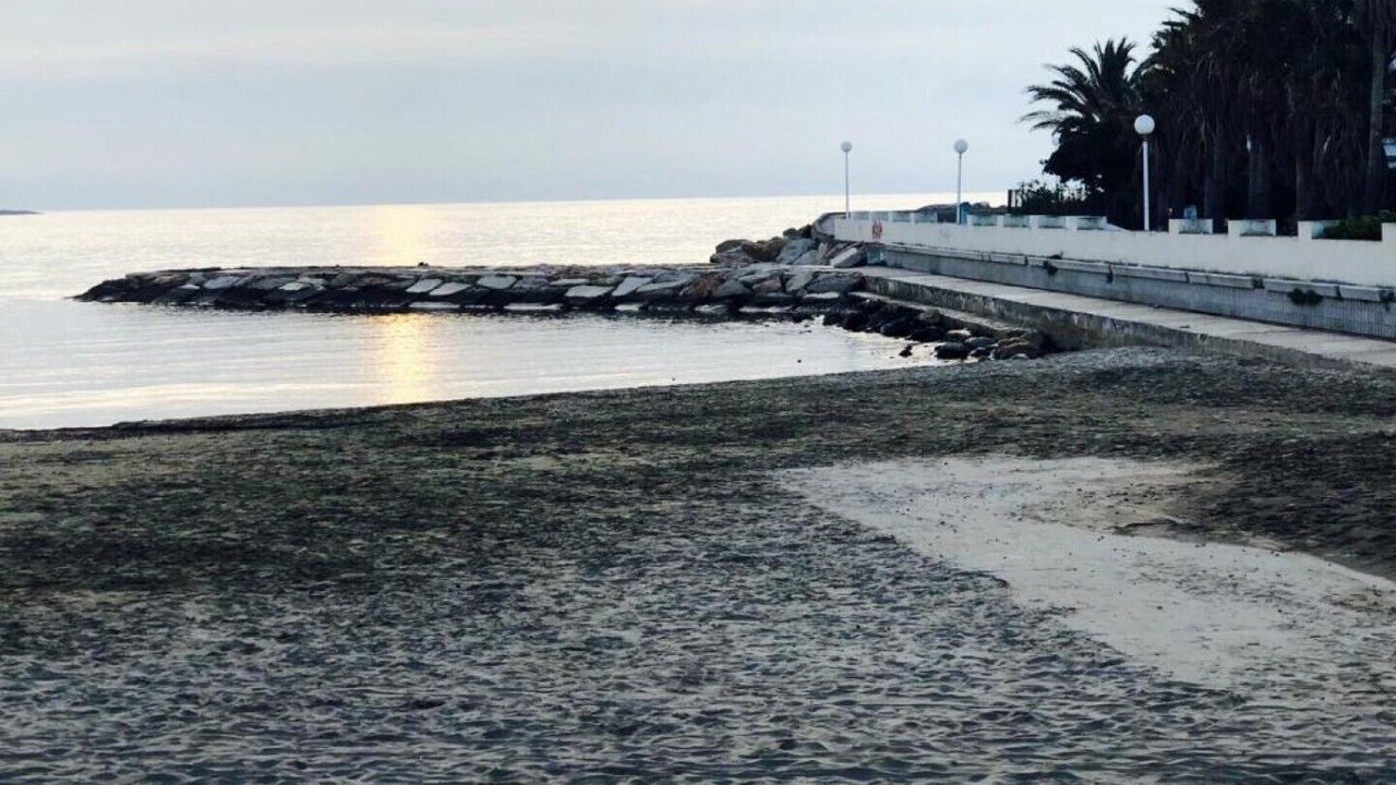 Photo of Others in Alcossebre