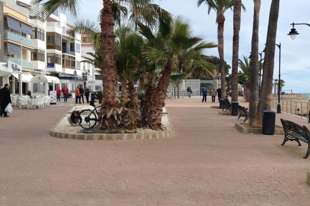 Photo of Outdoor in Alcossebre