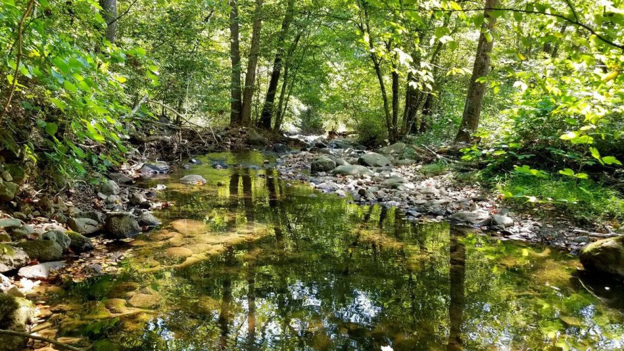 Photo of Outdoor in Stanardsville