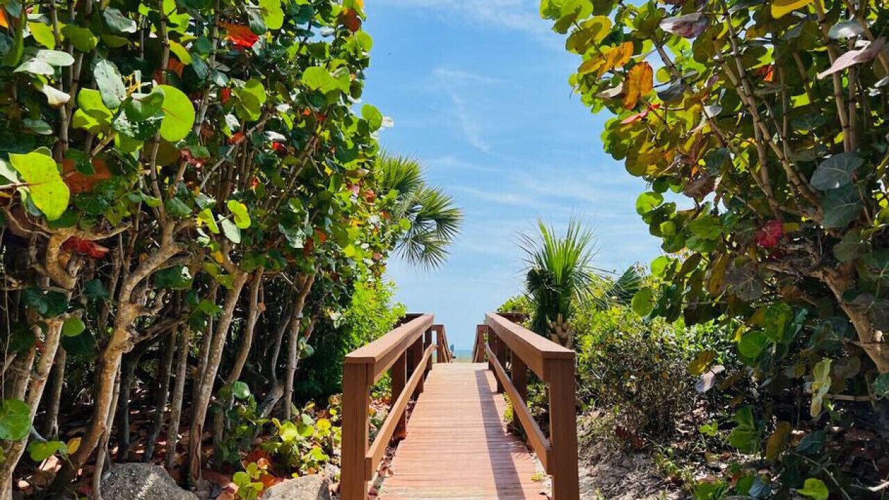Photo of Others in Cocoa Beach