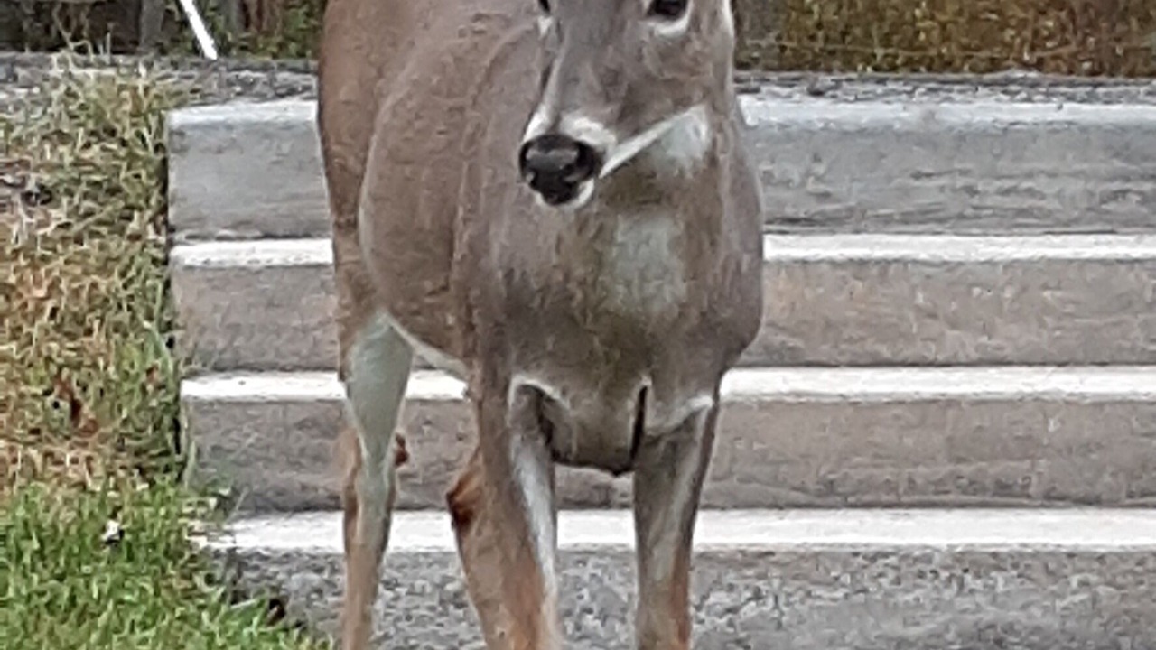 Photo of Others in McClure