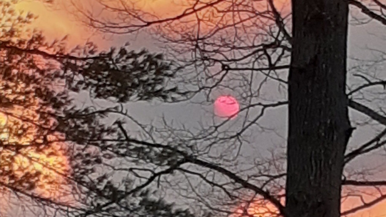 Photo of Outdoor in McClure