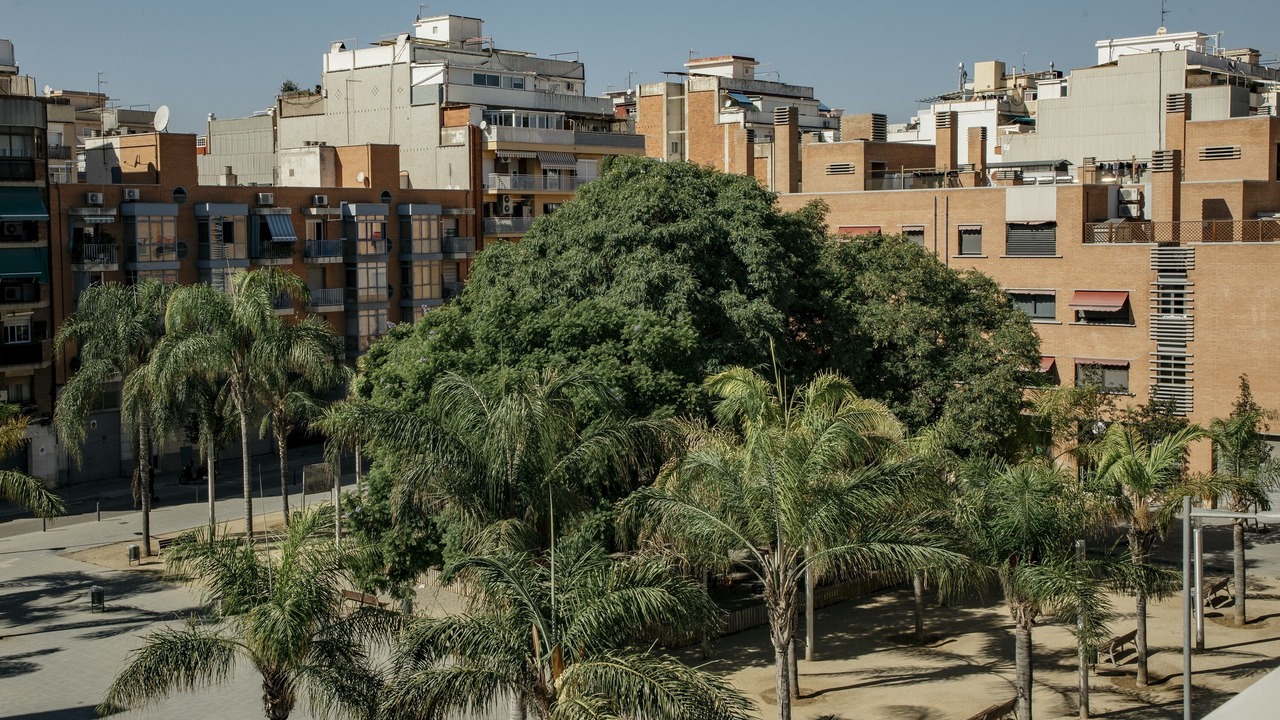 Photo of Outdoor in El Port
