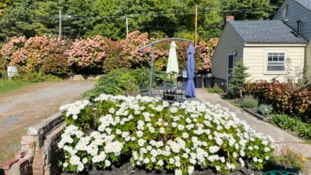 Photo of Outdoor in Manchester-by-the-Sea