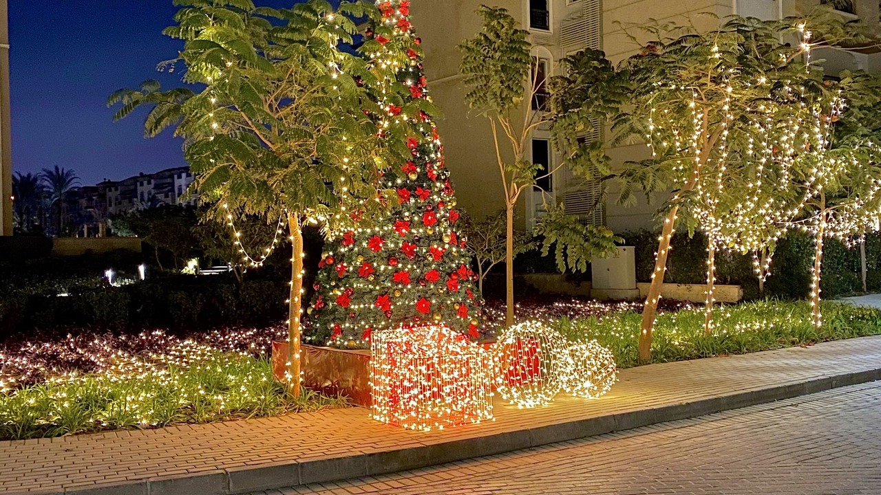 Photo of Outdoor in Cairo