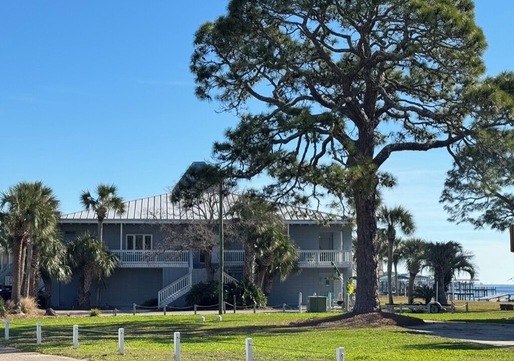 Photo of Outdoor in Panacea