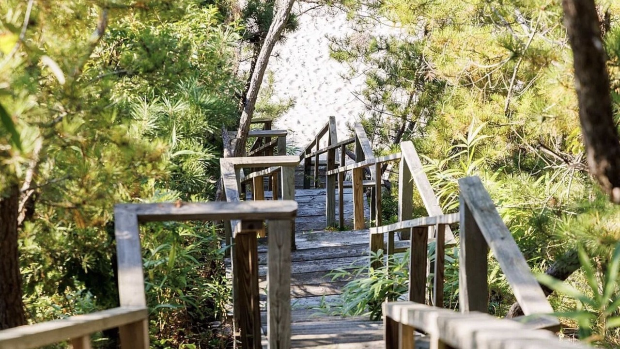 Photo of Outdoor in Baiting Hollow