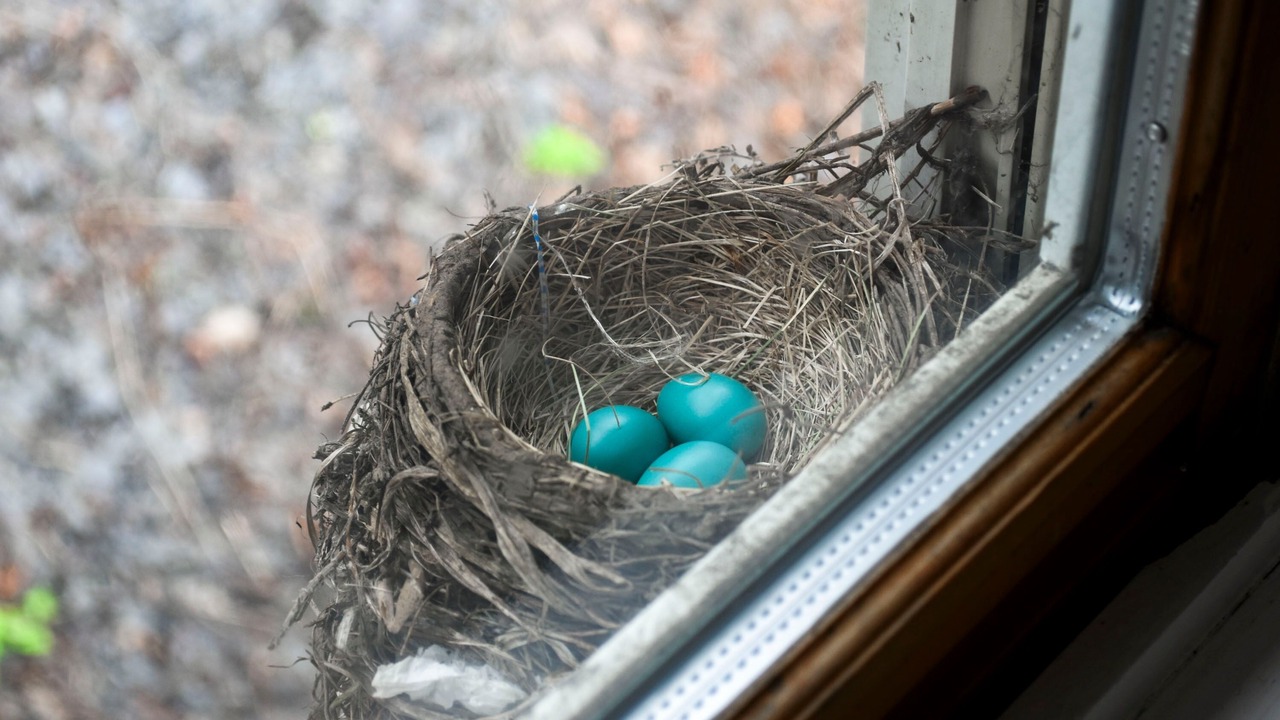 Photo of Others in Ithaca