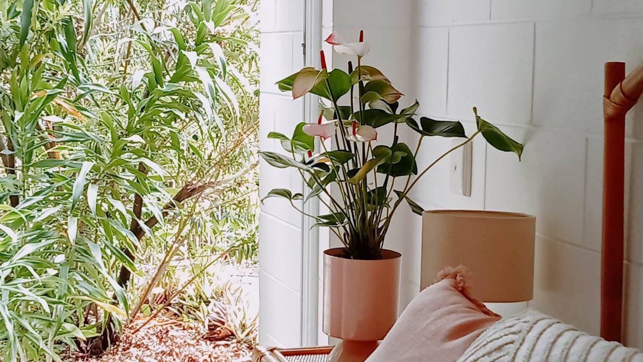 Photo of Bedroom in Manunda