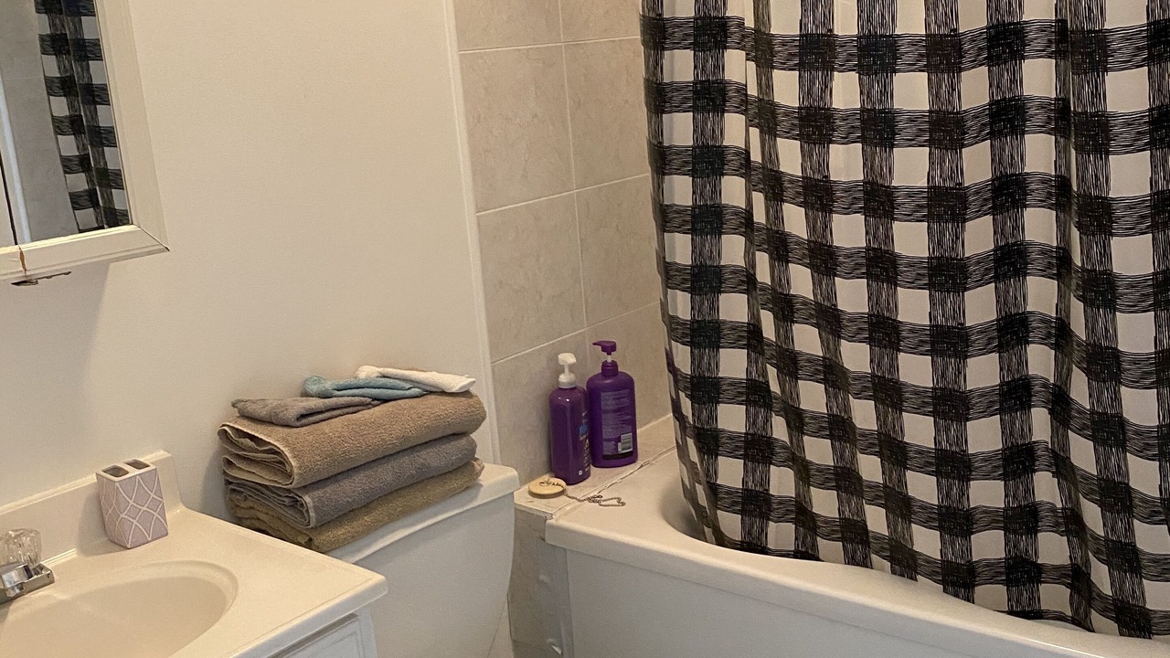 Photo of Bathroom in Throgs Neck