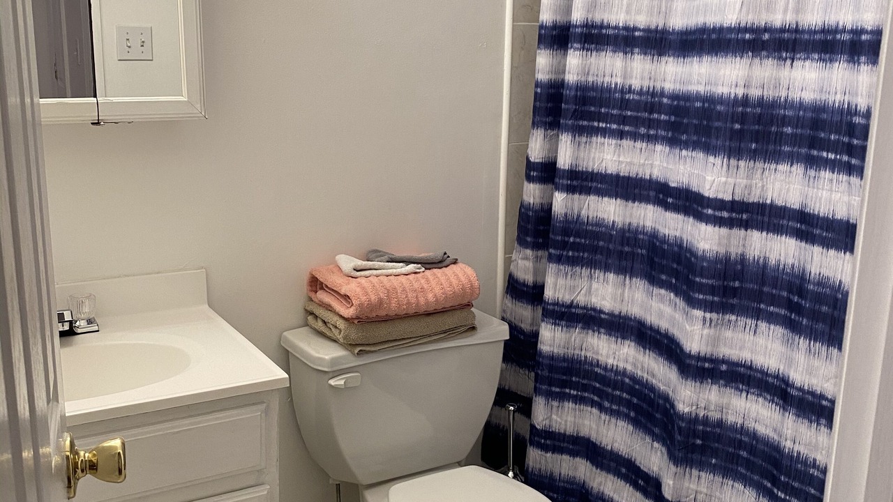 Photo of Bathroom in Throgs Neck