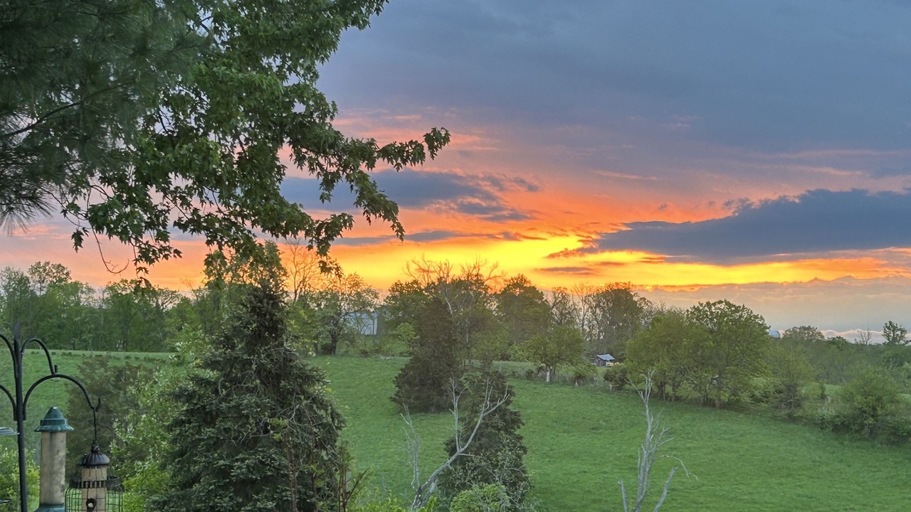 Photo of Outdoor in Union