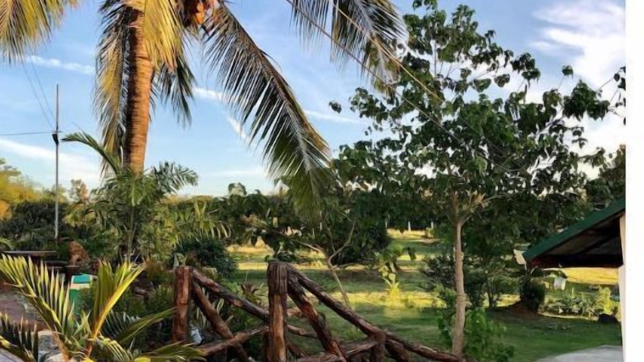 Photo of Outdoor in Calamba
