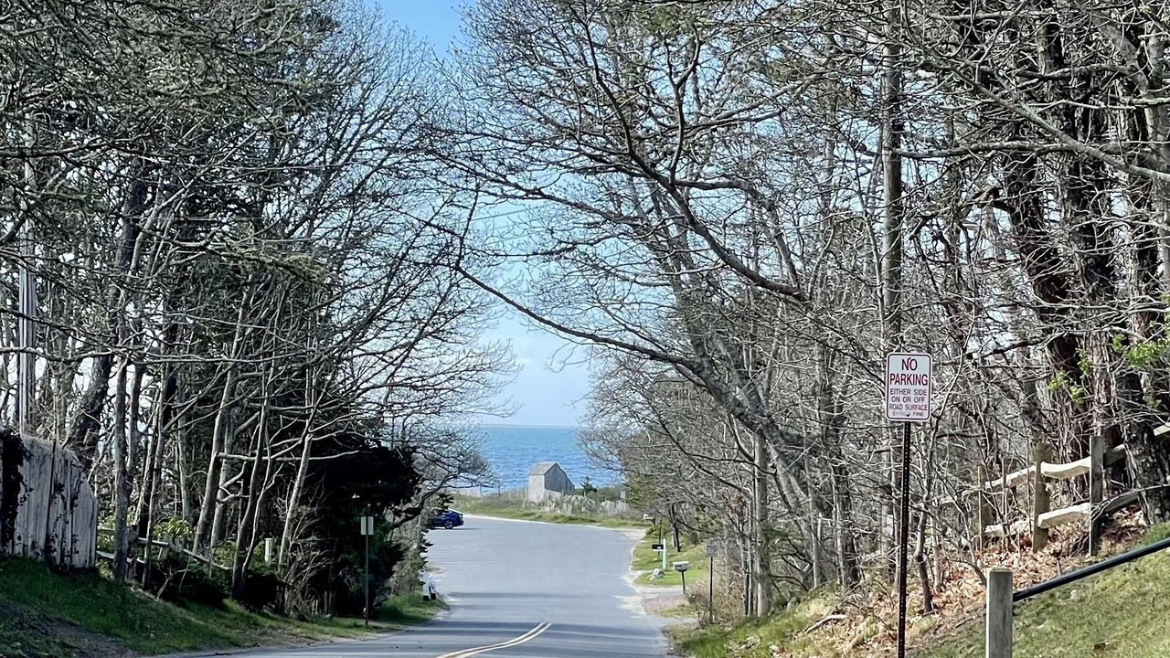 Photo of Others in South Chatham