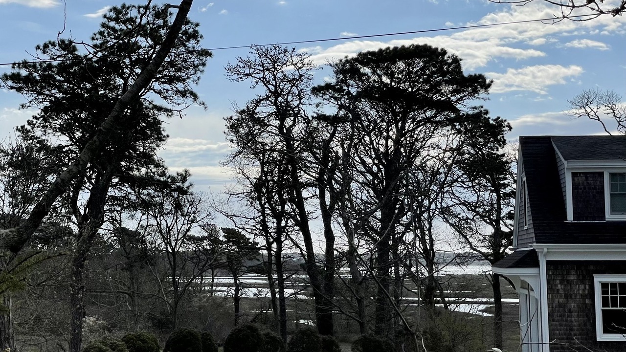 Photo of Others in South Chatham